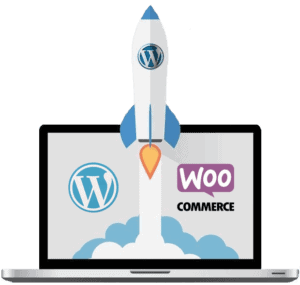 schaumburg web design image wordpress and woocommerce